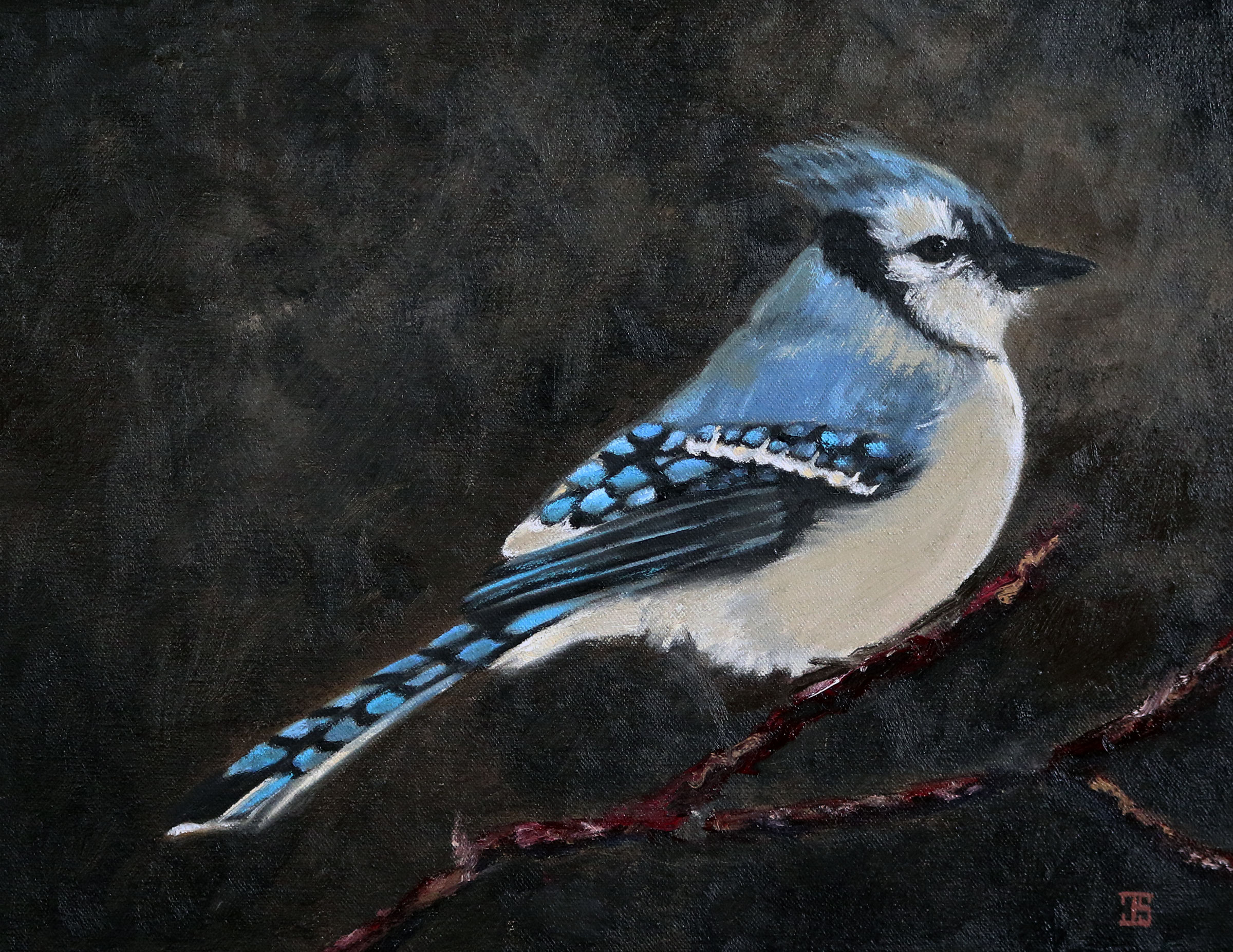 Oil painting "Birds of Cape Cod: Blue Jay" by Jeffrey Dale Starr