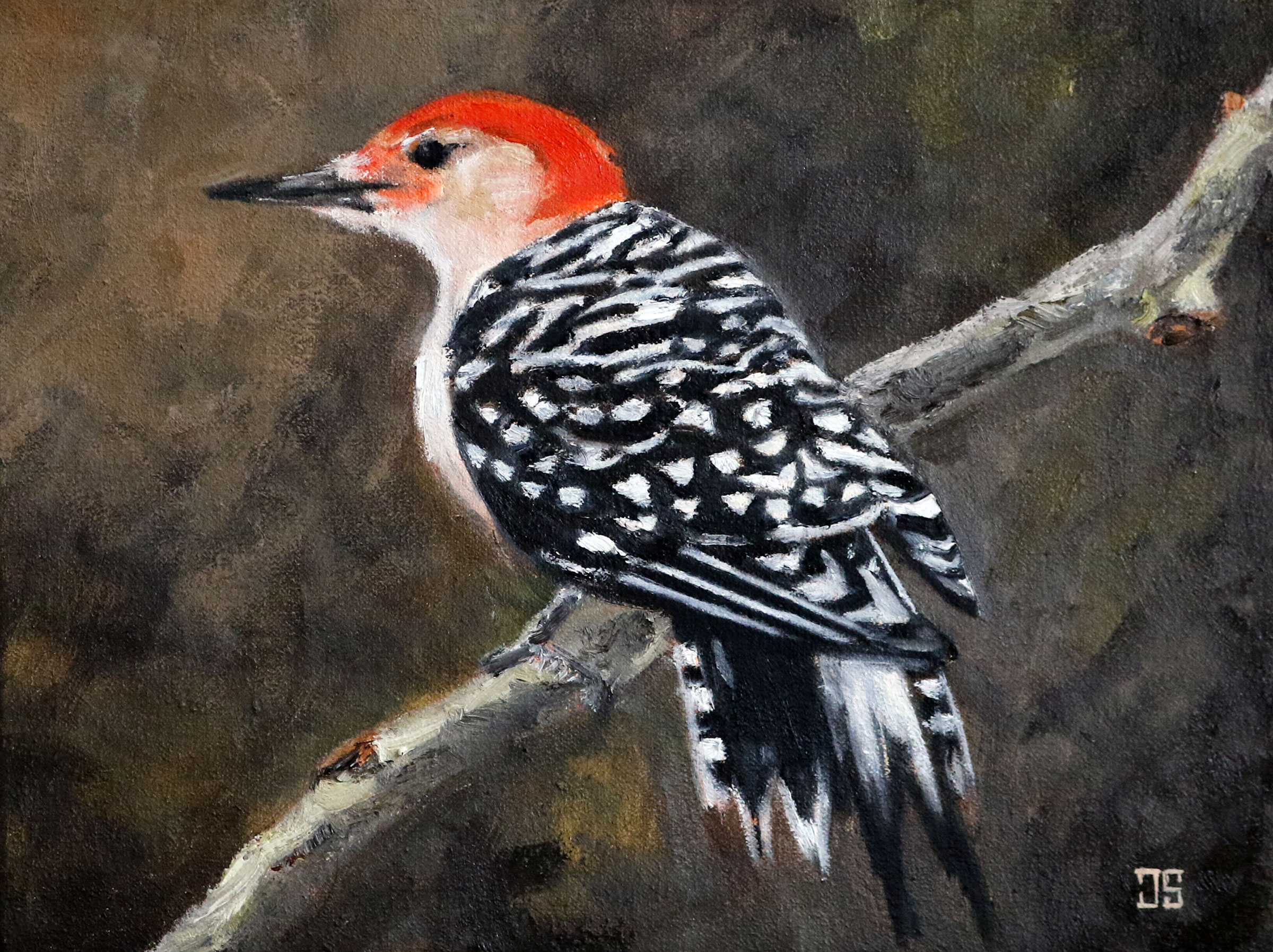 Oil painting "Birds of Cape Cod: Red-Bellied Woodpecker" by Jeffrey Dale Starr