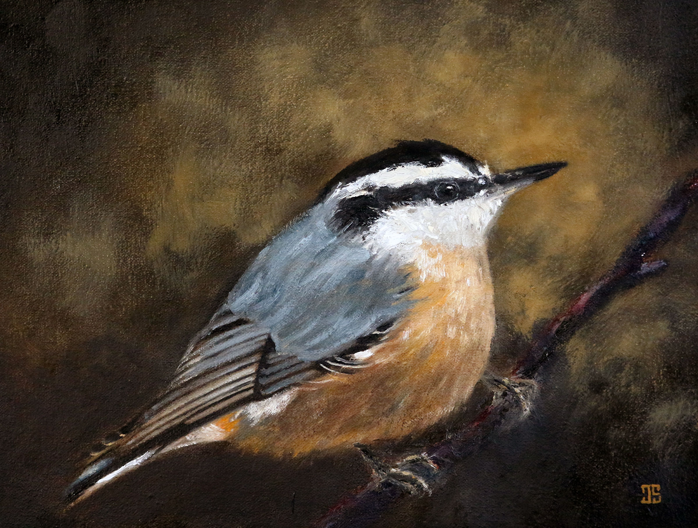 Oil painting "Birds of Cape Cod: Red-Breasted Nuthatch" by Jeffrey Dale Starr