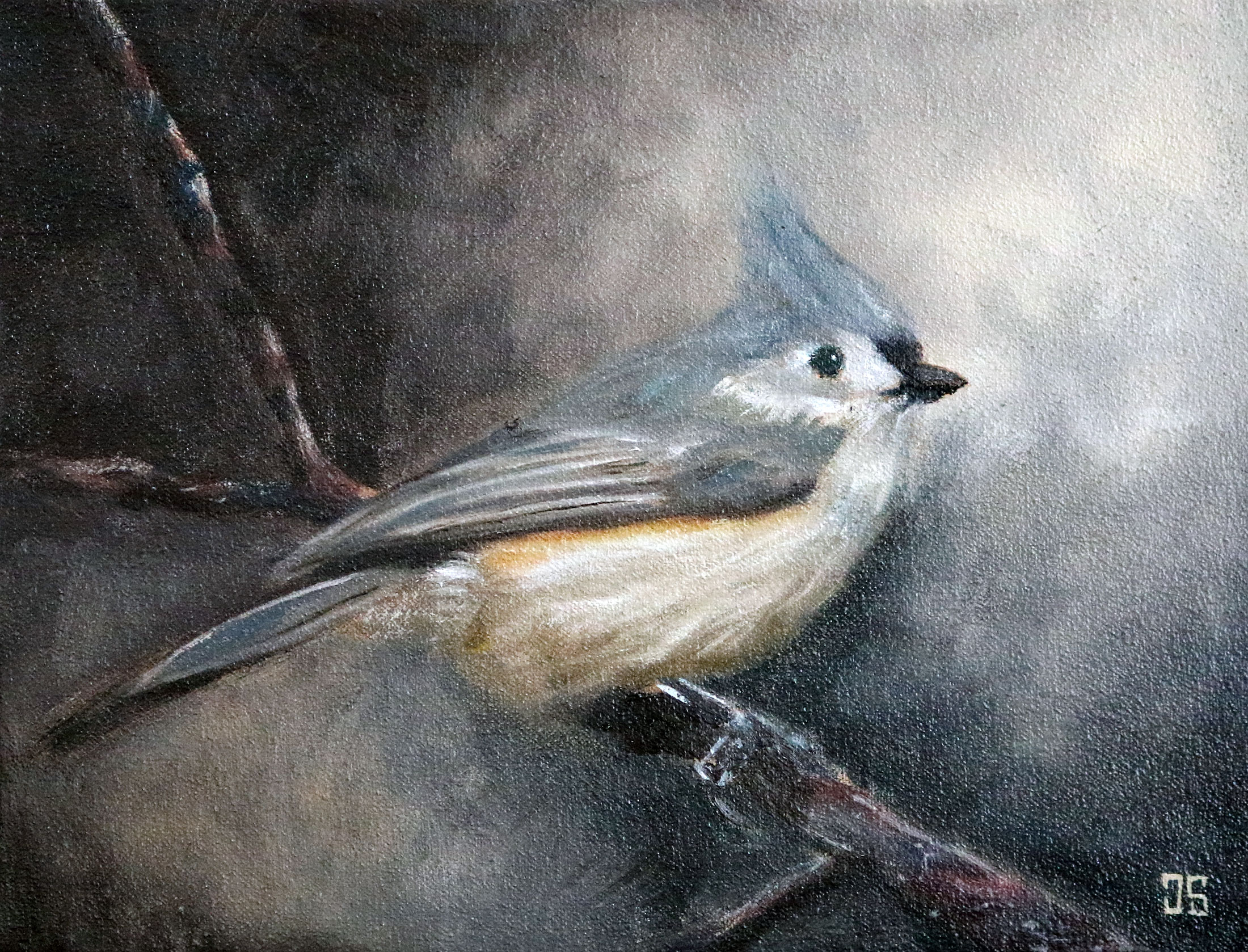 Birds of Cape Cod: Tufted Titmouse by Jeffrey Dale Starr
