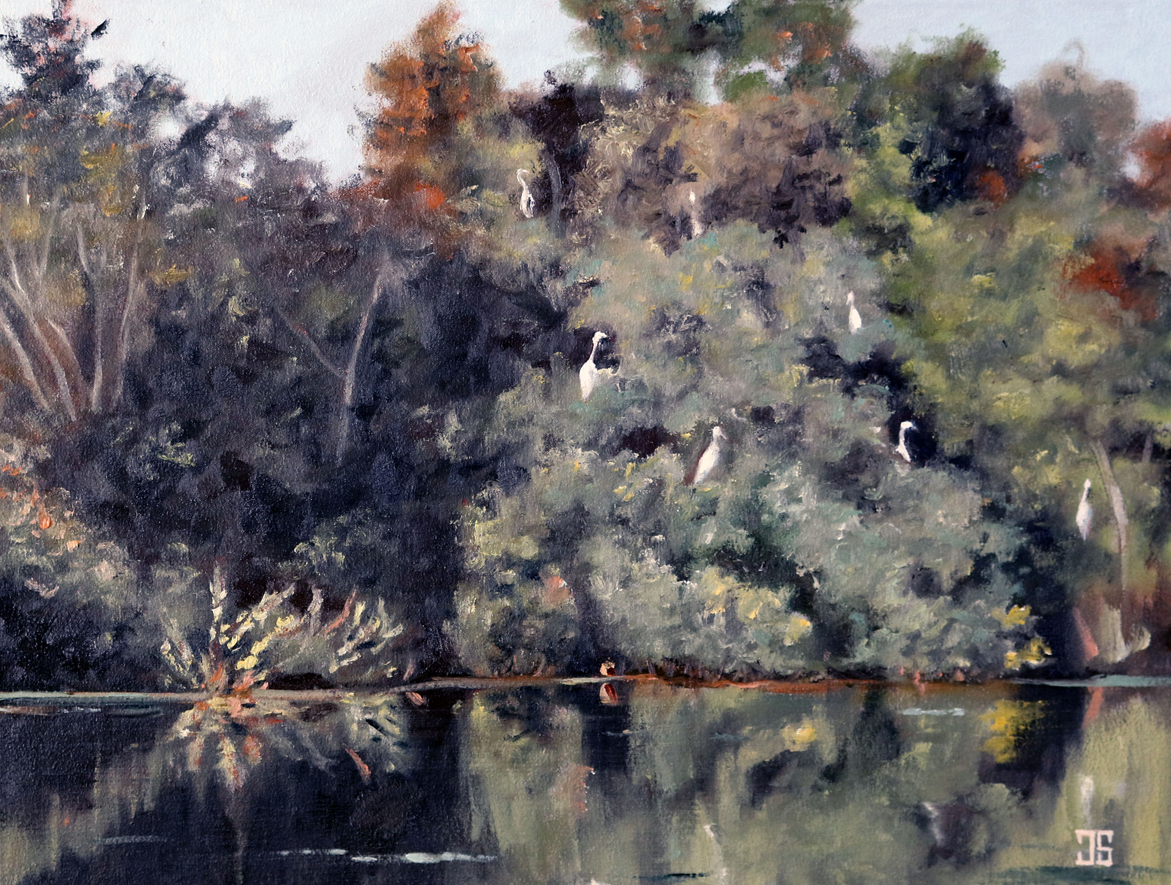 Great Egrets in the Trees, Hopper Pond, West Barnstable by Jeffrey Dale Starr