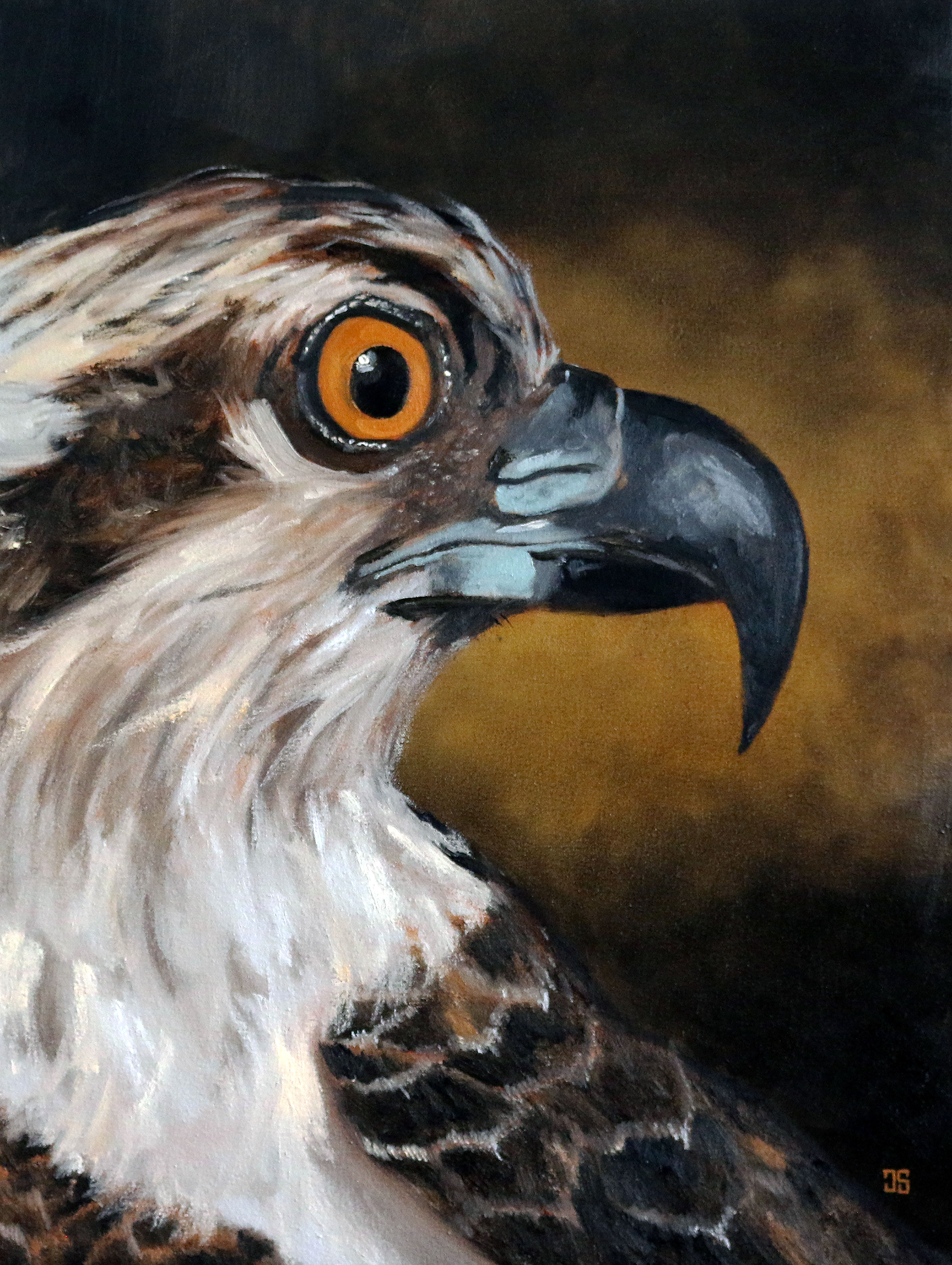 Oil painting "Birds of Cape Cod: Osprey" by Jeffrey Dale Starr